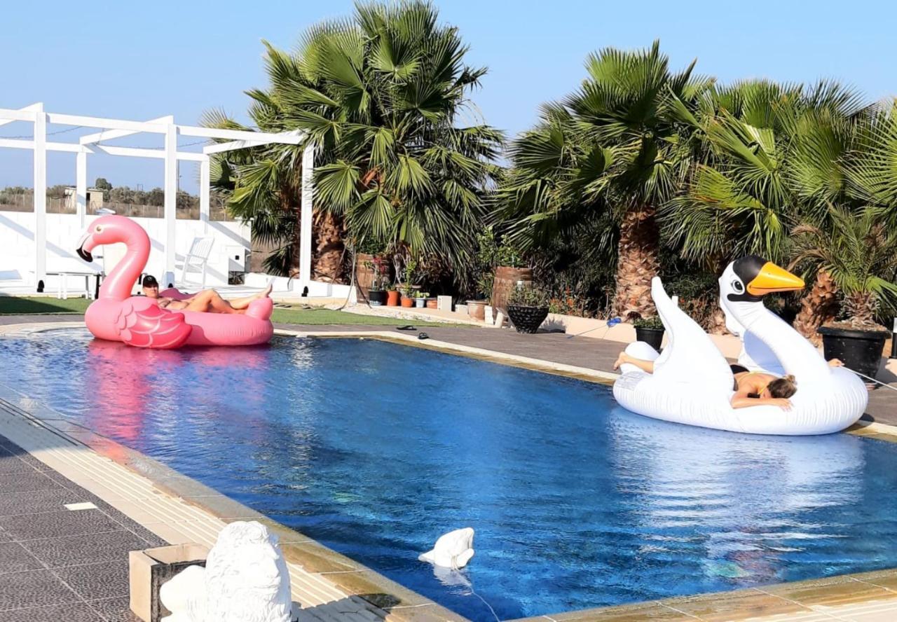 The Pervoli Studio - Pool - Close To Beach Lárnaca Exterior foto
